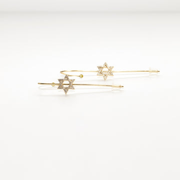 Star of David Pin Earrings